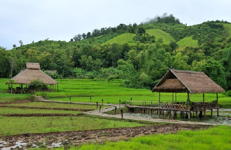 Surrounding countryside, Kamu Lodge