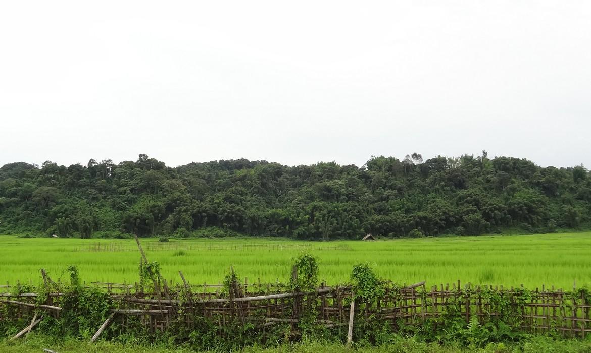Coutnryside, Putao