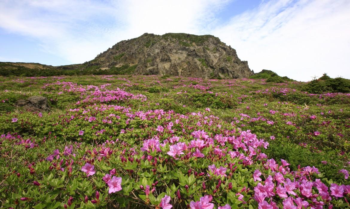 Mt. Hallasan, Jeju