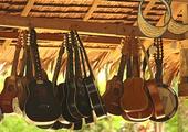 Cruise the Loboc River