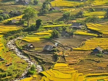Rice terraces, Sapa