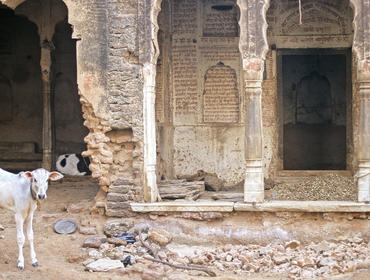 Abandoned mansion, Shekhawati
