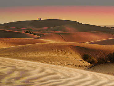Sand-dunes in Thar Desert