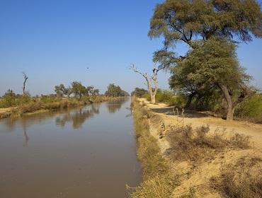Countryside, Rajasthan