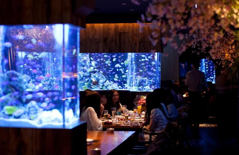 Restaurant, Cross Hotel Osaka