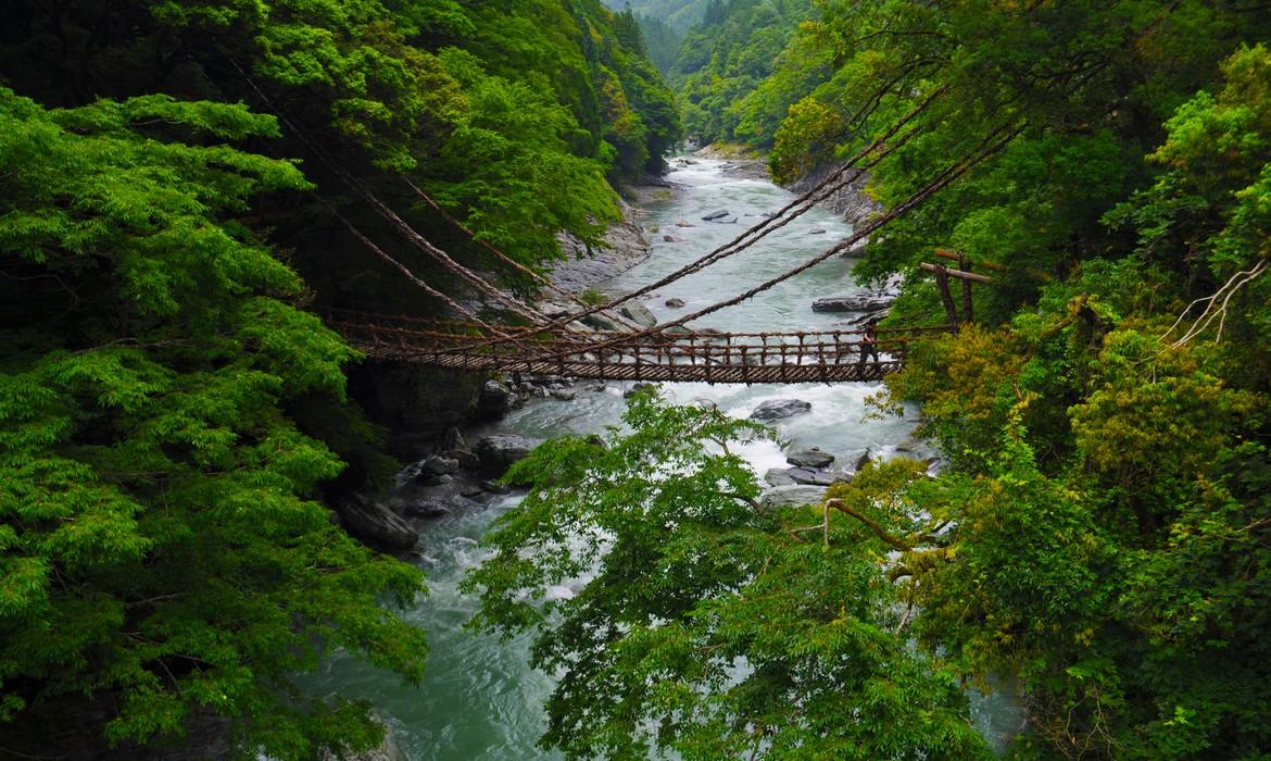 Kazurabashi Bridge, Iya Valley