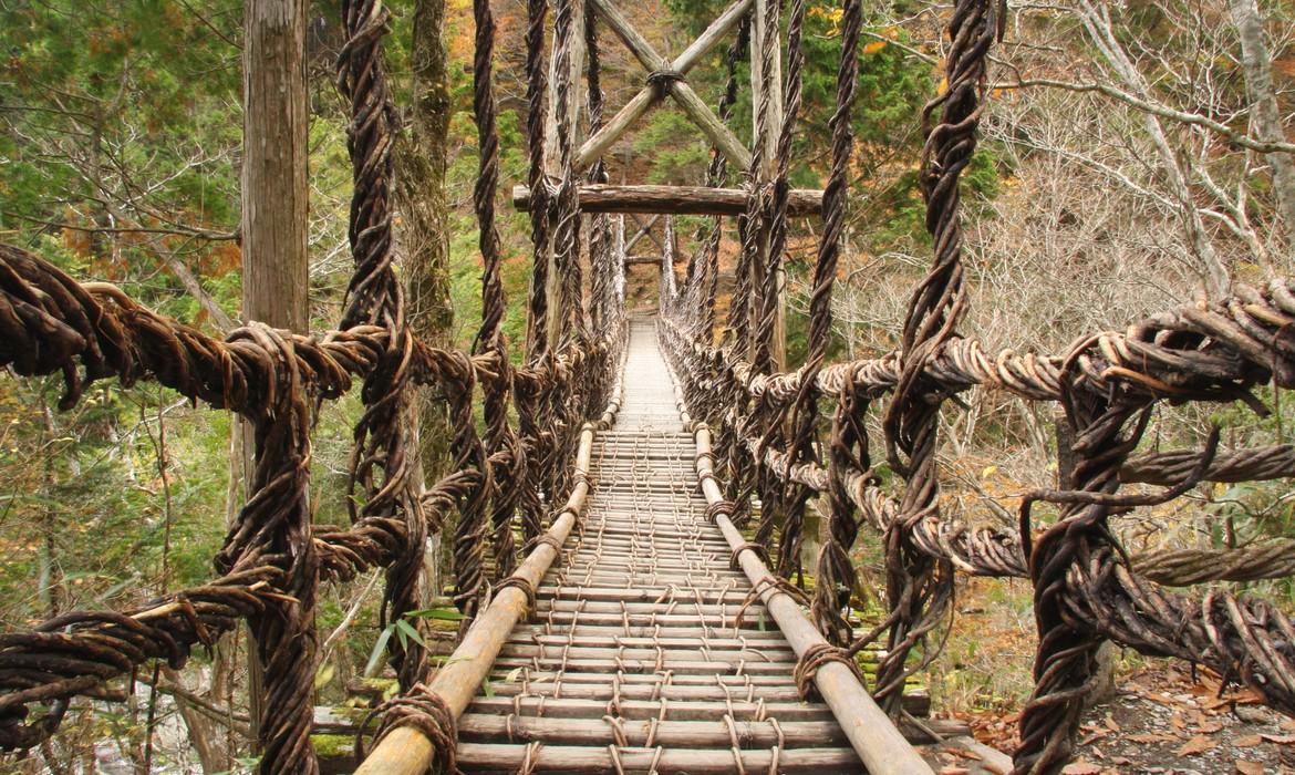 Vine bridge, Iya Valley