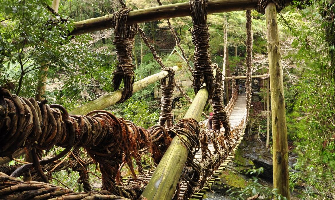 Detail of vine bridge, Iya Valley
