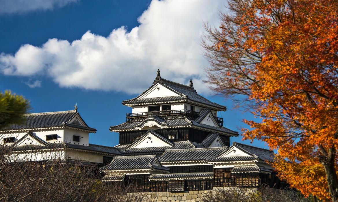 Matsuyama Castle, Matsuyama