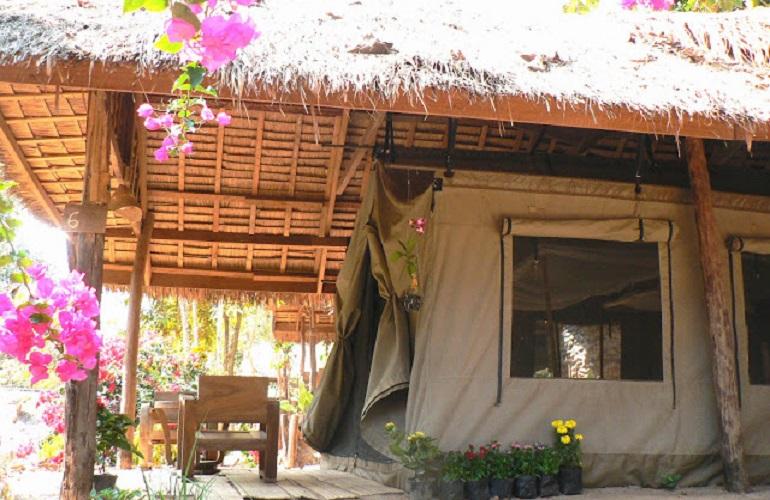 Tent, Kamu Lodge