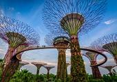 Gardens by the Bay