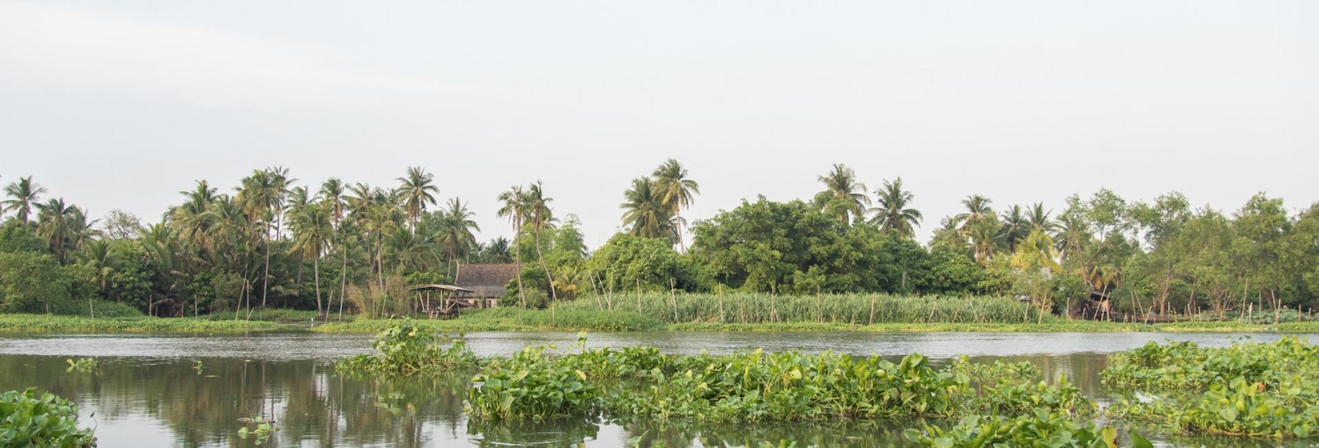 Majuli Island, Assam, India