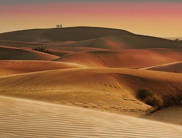 Sand dunes, Thar Desert