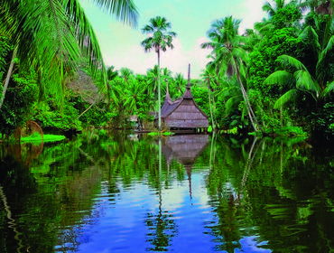 Village hut, Sepik River