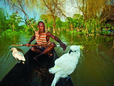 Villager, Sepik River