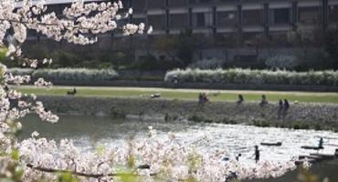 Ritz-Carlton, Kyoto