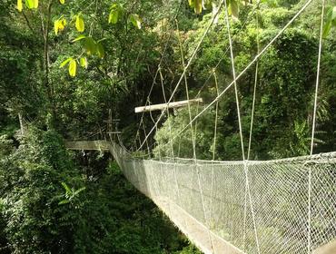 Skywalk, Mulu National Park