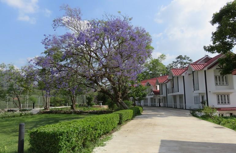 Exterior, Kalaw Heritage Hotel 