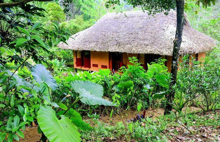 Lodge, Ecolodge Panhou Village