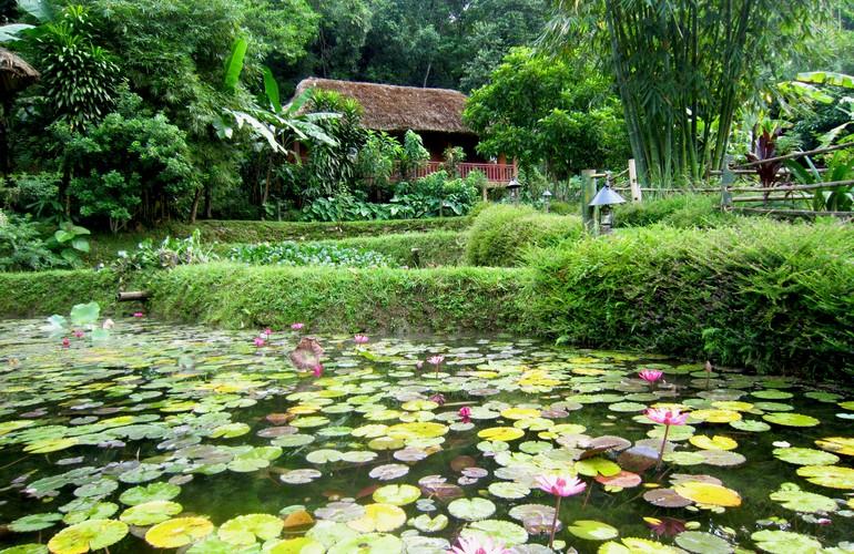 Lily Pond, Ecolodge Panhou Village
