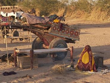Cattle fair, Nagaur
