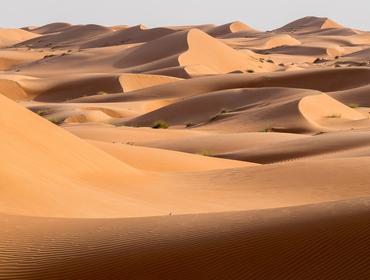 Wahiba Sands