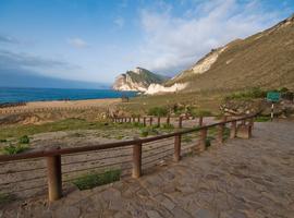 Landscape, Salalah