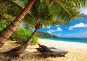 Classic Seychelles