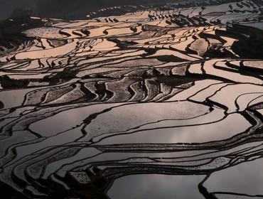 Yuanyang Rice Terraces