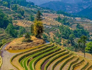Yuanyang Rice Terraces