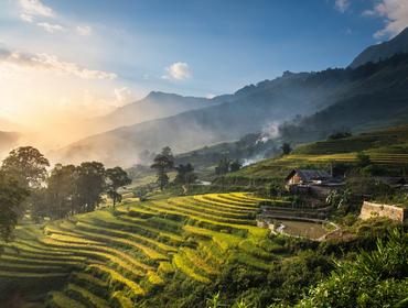 Sapa