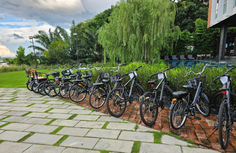 Bicycle Rental