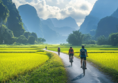 Phong Nha Biking (Full Day)